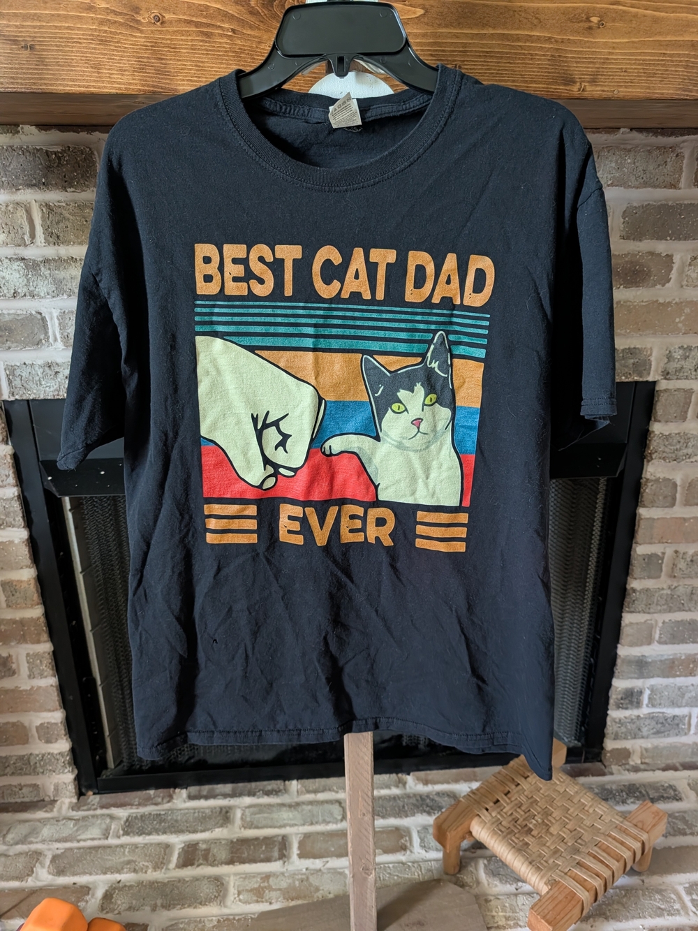 Fruit of the Loom Black "Best Cat Dad Ever" Graphic Tee with Retro Cat Design